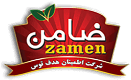ZamenCo logo